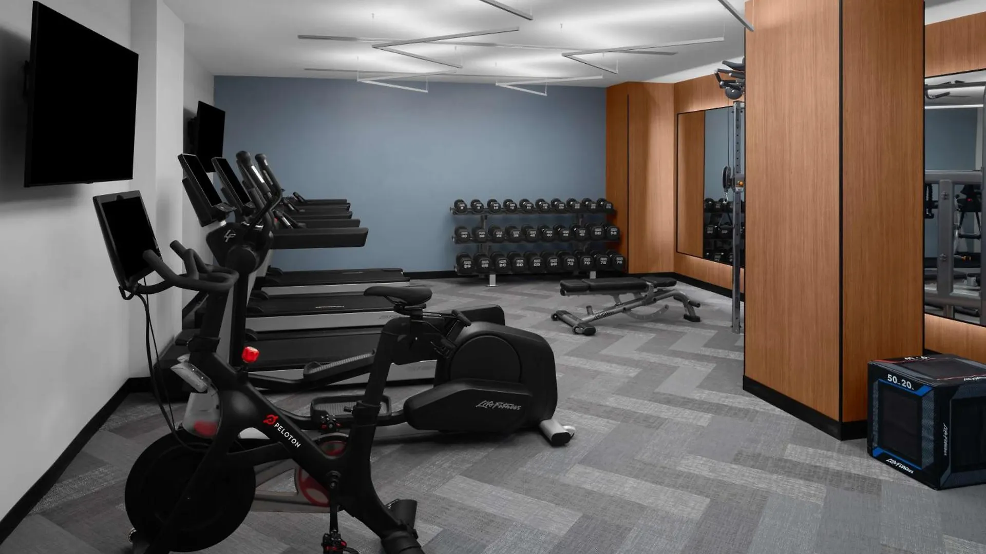 Hilton Brooklyn New York - Newly Renovated Hotel 4*,  USA